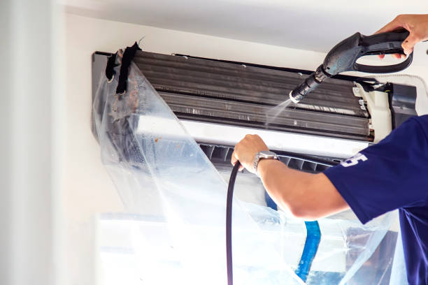 Best Mold and Mildew Removal from Ducts in USA